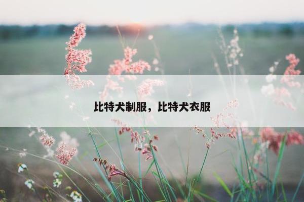 比特犬制服，比特犬衣服