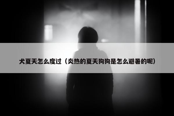 犬夏天怎么度过（炎热的夏天狗狗是怎么避暑的呢）