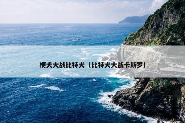 梗犬大战比特犬（比特犬大战卡斯罗）
