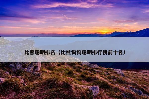 比熊聪明排名（比熊狗狗聪明排行榜前十名）