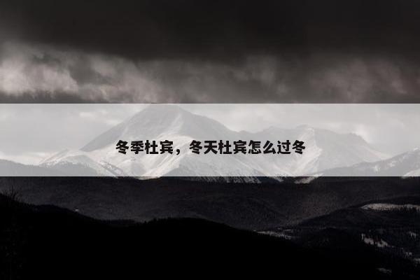冬季杜宾，冬天杜宾怎么过冬