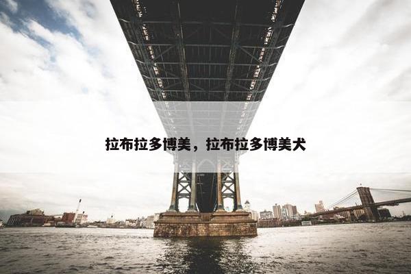 拉布拉多博美，拉布拉多博美犬