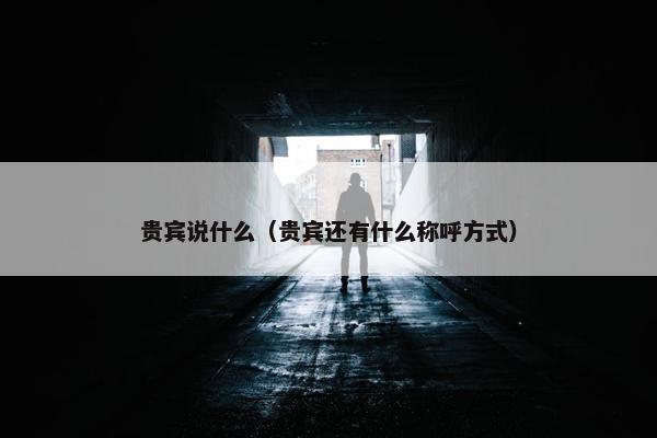 贵宾说什么（贵宾还有什么称呼方式）