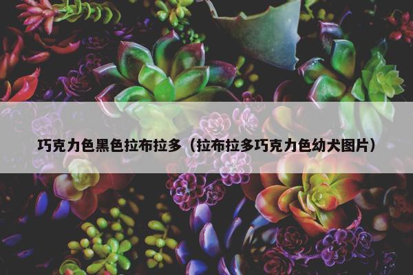 黑色 第7页