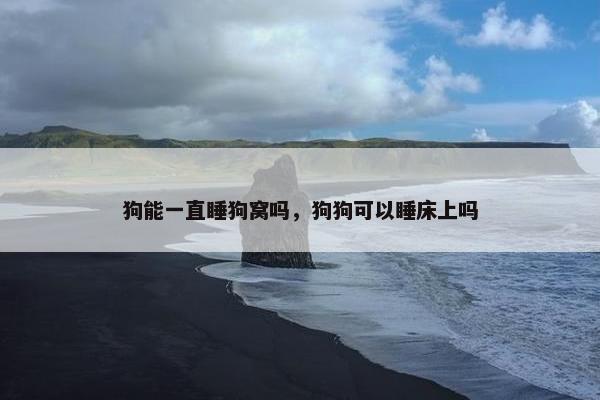 狗能一直睡狗窝吗，狗狗可以睡床上吗