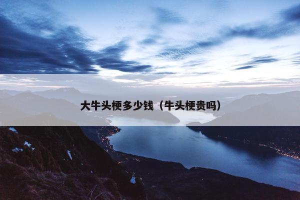 大牛头梗多少钱（牛头梗贵吗）