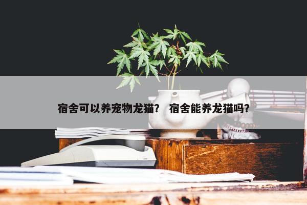 宿舍可以养宠物龙猫？ 宿舍能养龙猫吗？