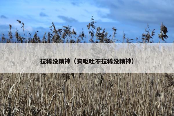拉稀没精神（狗呕吐不拉稀没精神）
