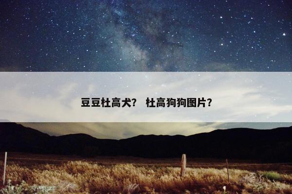 豆豆杜高犬？ 杜高狗狗图片？
