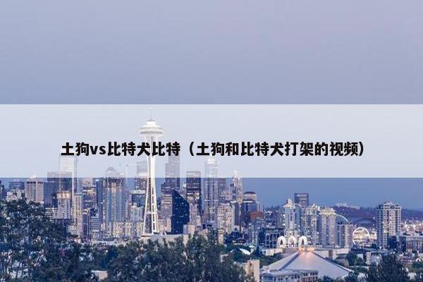土狗vs比特犬比特（土狗和比特犬打架的视频）