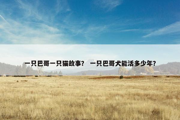 一只巴哥一只猫故事？ 一只巴哥犬能活多少年？