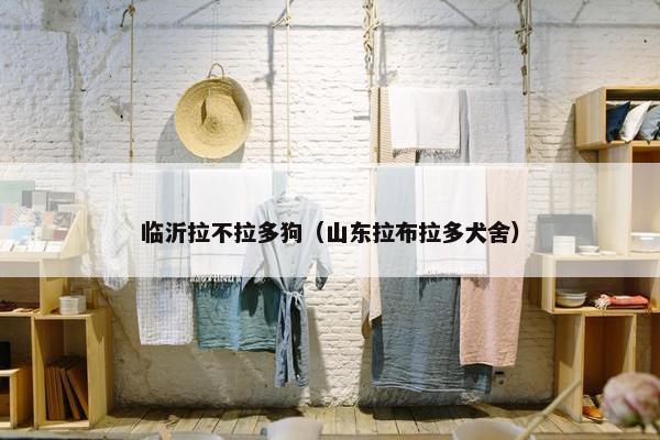 临沂拉不拉多狗（山东拉布拉多犬舍）