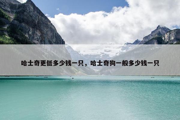 哈士奇更低多少钱一只，哈士奇狗一般多少钱一只