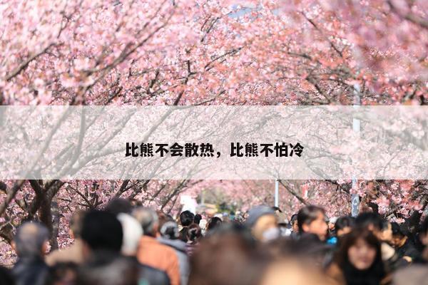 比熊不会散热，比熊不怕冷