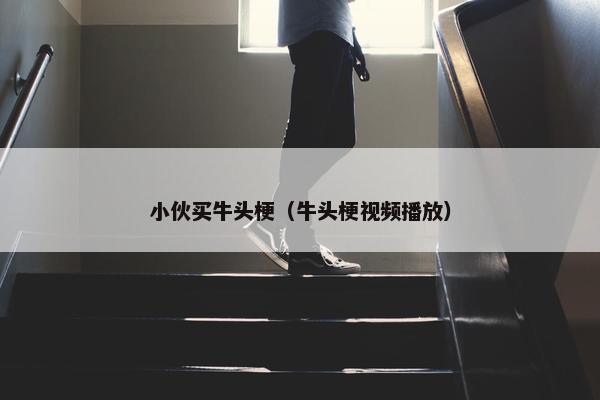 小伙买牛头梗（牛头梗视频播放）
