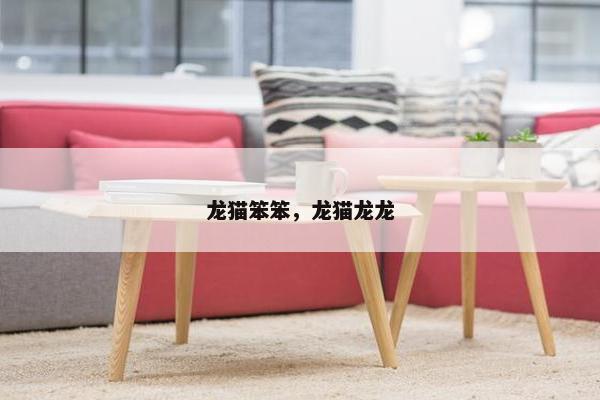 龙猫笨笨，龙猫龙龙