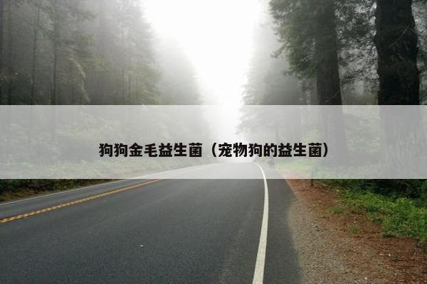 狗狗金毛益生菌（宠物狗的益生菌）