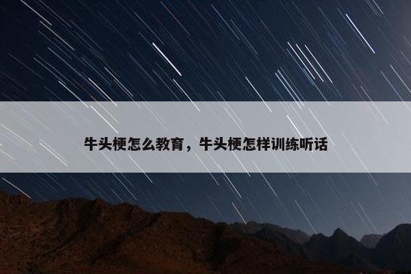 牛头梗怎么教育，牛头梗怎样训练听话