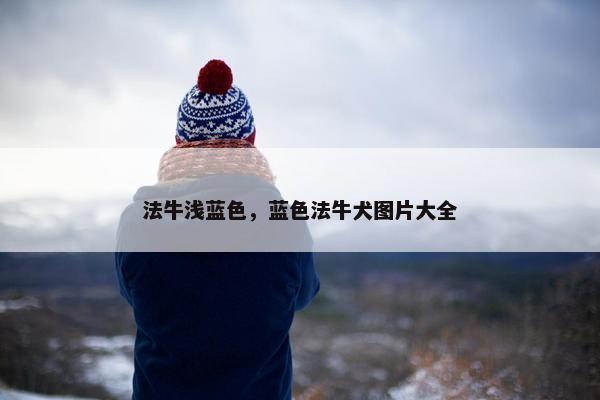 法牛浅蓝色，蓝色法牛犬图片大全