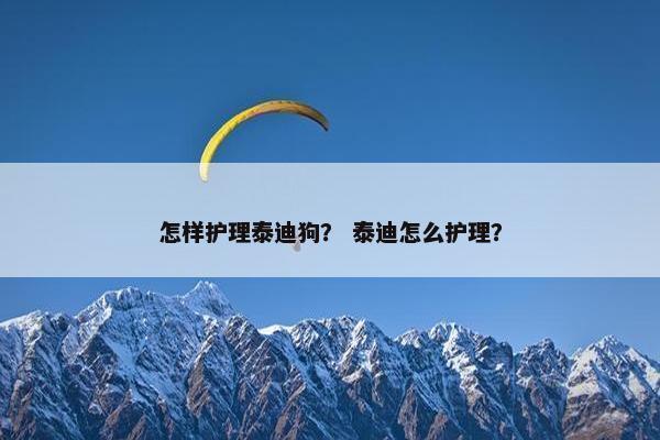 怎样护理泰迪狗？ 泰迪怎么护理？