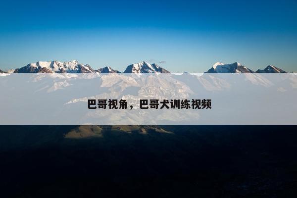 巴哥视角，巴哥犬训练视频