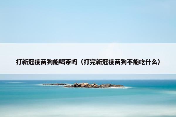 打新冠疫苗狗能喝茶吗（打完新冠疫苗狗不能吃什么）