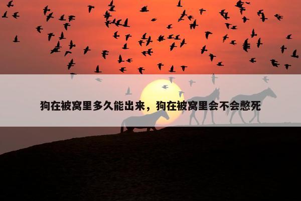 被窝