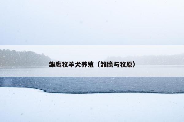雏鹰牧羊犬养殖（雏鹰与牧原）