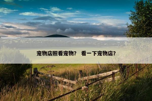 宠物店照看宠物？ 看一下宠物店？