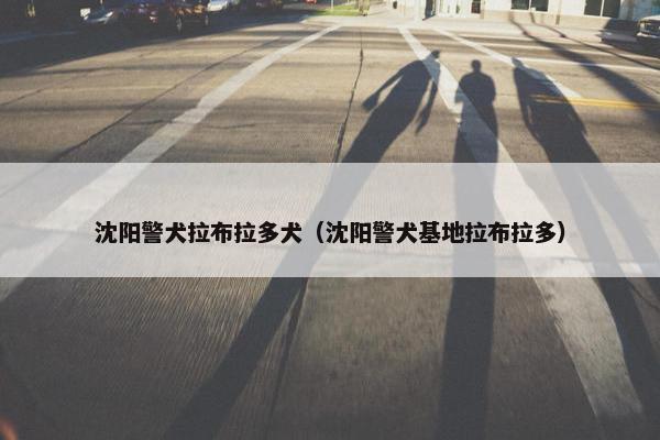 沈阳警犬拉布拉多犬（沈阳警犬基地拉布拉多）