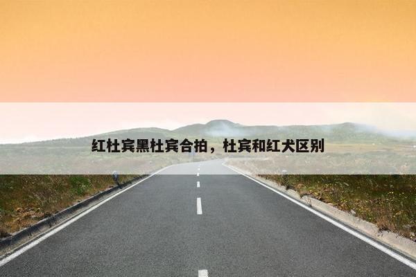 栩栩
