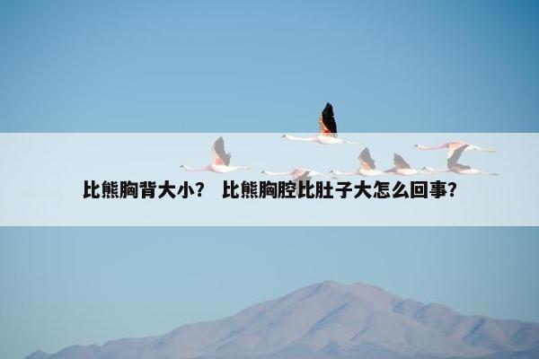 比熊胸背大小？ 比熊胸腔比肚子大怎么回事？