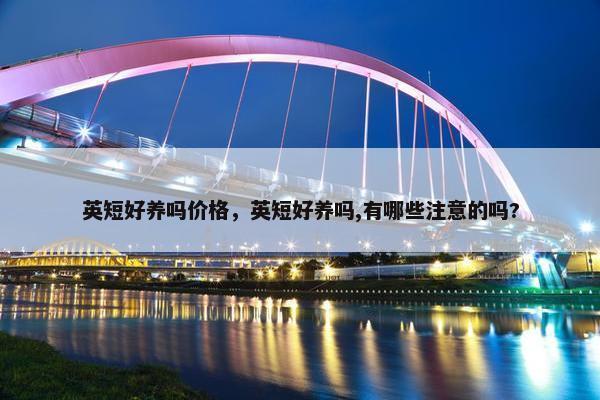 英短 第2页