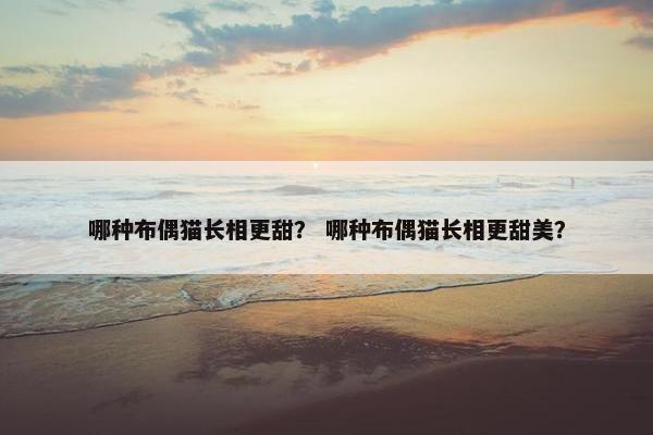 哪种布偶猫长相更甜？ 哪种布偶猫长相更甜美？
