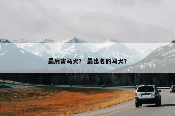 最厉害马犬？ 最出名的马犬？