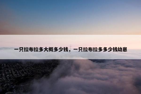 一只拉布拉多大概多少钱，一只拉布拉多多少钱幼崽