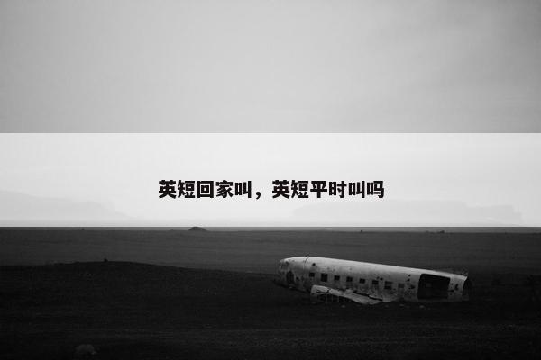 英短回家叫，英短平时叫吗