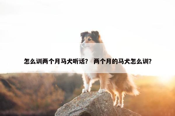 引导