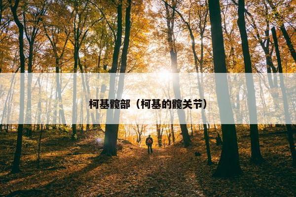 柯基髋部（柯基的髋关节）