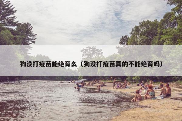狗没打疫苗能绝育么（狗没打疫苗真的不能绝育吗）