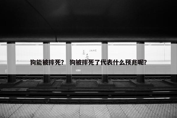 狗能被摔死？ 狗被摔死了代表什么预兆呢？