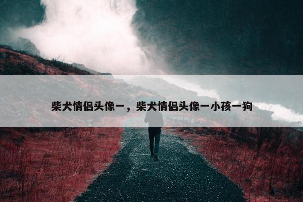 柴犬情侣头像一，柴犬情侣头像一小孩一狗