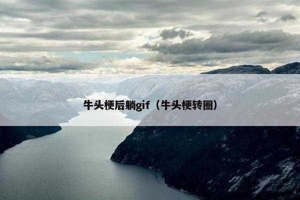 牛头梗后躺gif（牛头梗转圈）