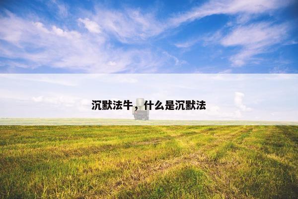 沉默法牛，什么是沉默法