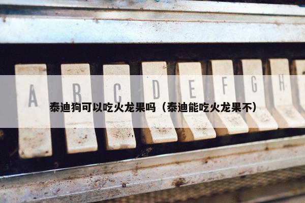 火龙果