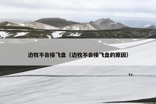 巡回