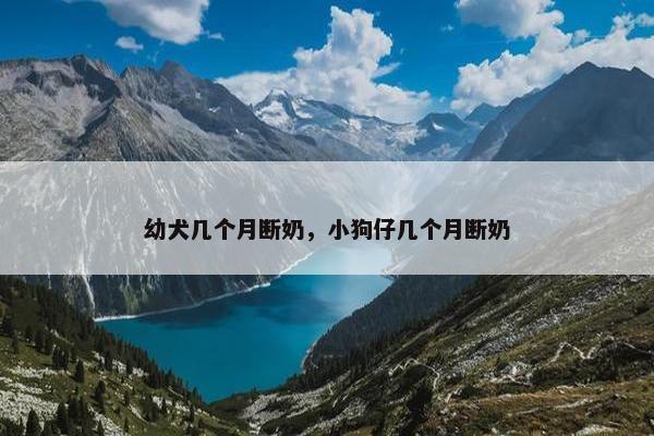 幼犬几个月断奶，小狗仔几个月断奶
