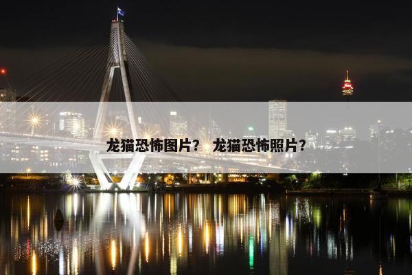 龙猫恐怖图片？ 龙猫恐怖照片？