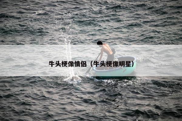 牛头梗像情侣（牛头梗像明星）