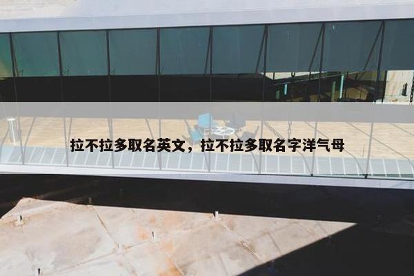拉不拉多取名英文，拉不拉多取名字洋气母